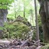 Gebietswanderung Rinnerberger Wasserfall